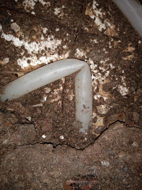 瑞金堵点精准查找